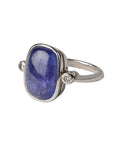 Enchanting Tanzanite and Diamond Silver 925 Ring