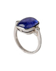 Enchanting Tanzanite and Diamond Silver 925 Ring