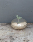 Silver 925 Storage Box With Jade Stone