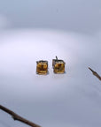 Ciana Gemstone Silver 925 Studs