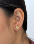 Ciana Gemstone Silver 925 Studs