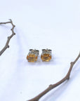 Rosella Gemstone Silver 925 Studs