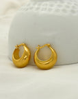 Gael Gold Plated Silver 925 Earrings