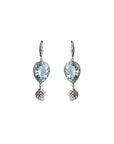 silver earrings